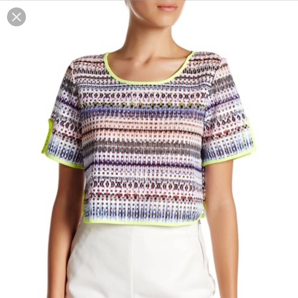 Romeo & Juliet Couture Crop Top